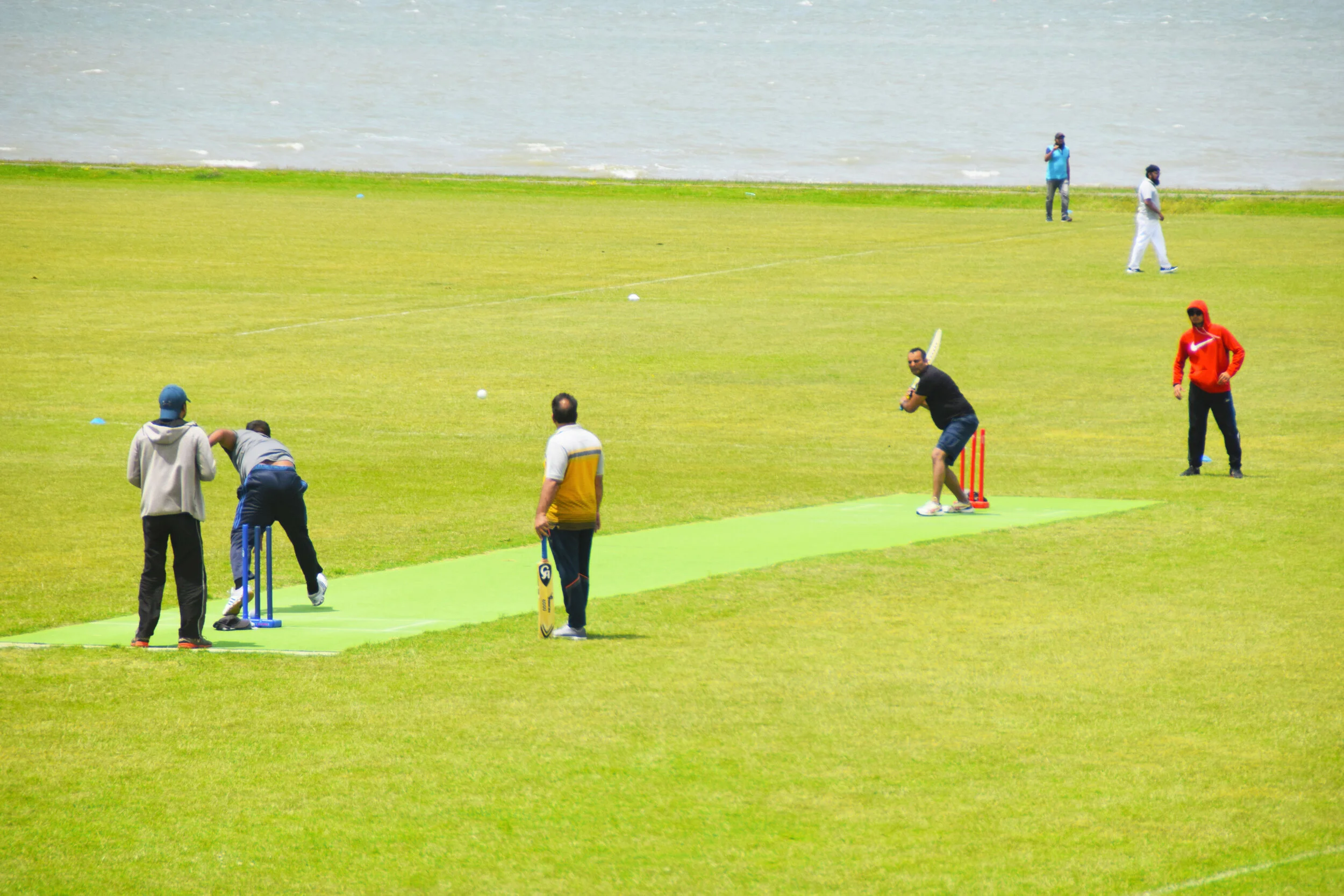 It was a glorious day of summer cricket, which brought the Indian sub-continent together
