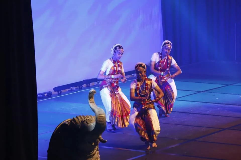 Picture courtesy: CATNZ