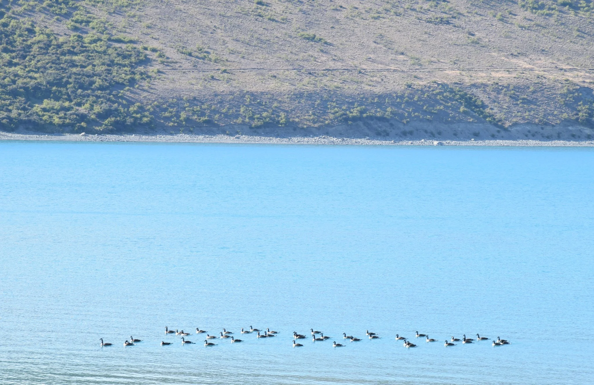 Lake Tekapo