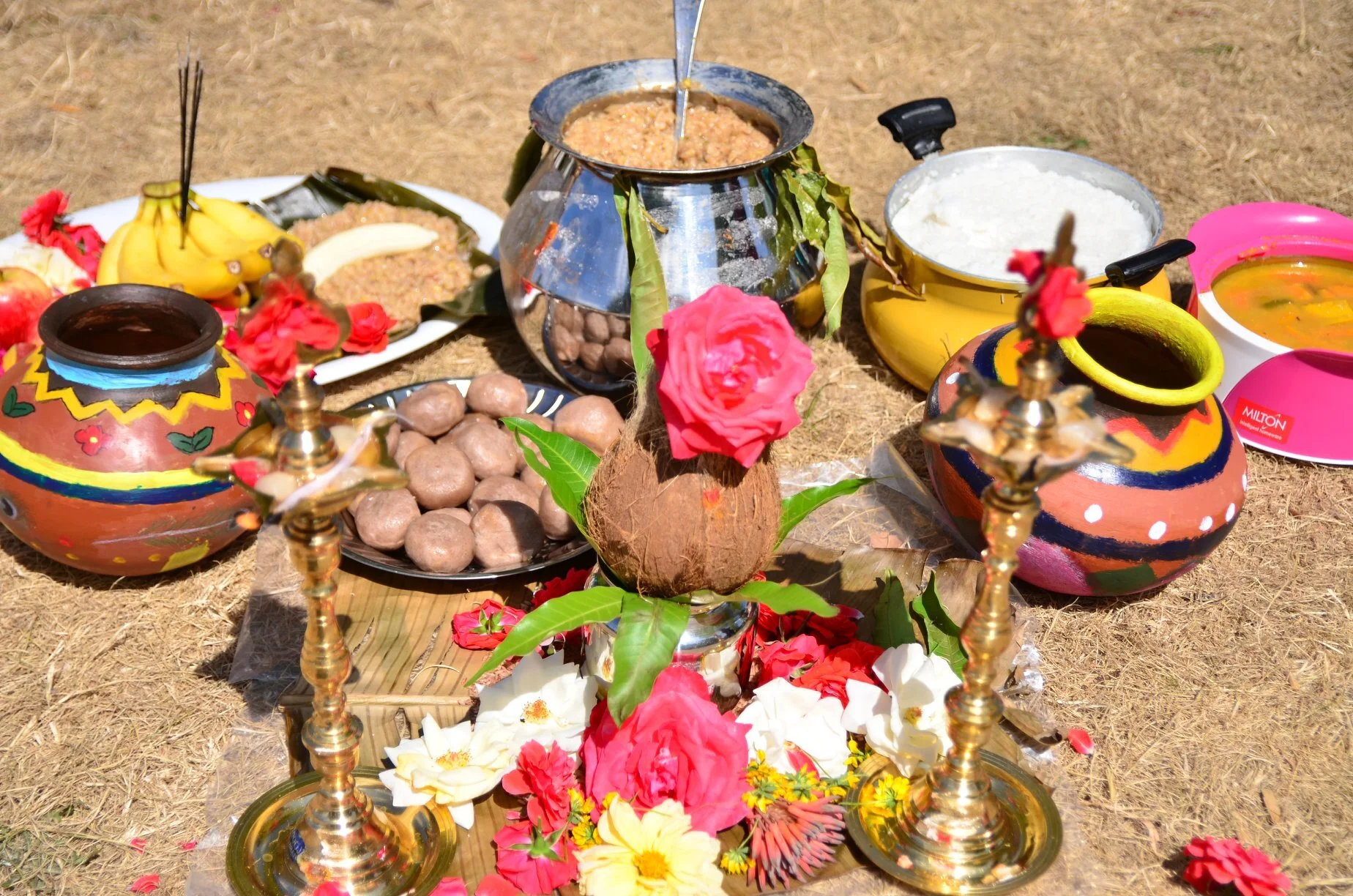 Thai Pongal celebrated in Christchurch