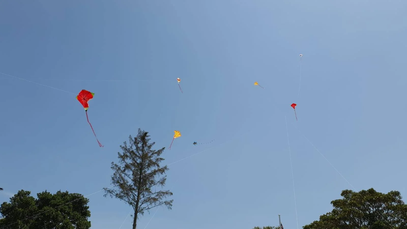 The New Zealand Telugu Association (NZTA) organised its annual Sankranthi celebrations on January 11. The day-long celebration included kite-flying, and making muggula potilu. (picture credit: NZTA)