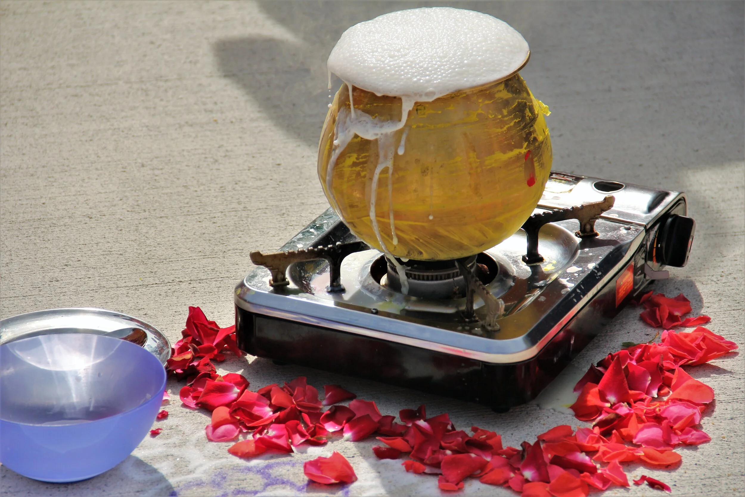 CITA celebrates pongal in Christchurch