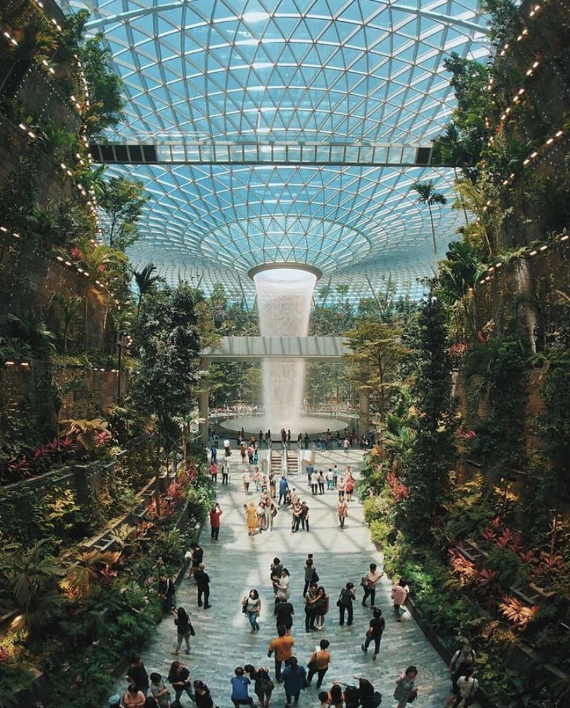 Travelling between NZ and India? Stop at Changi.