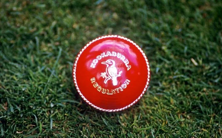 COVID-19 impact: No saliva to shine the cricket ball, ICC says