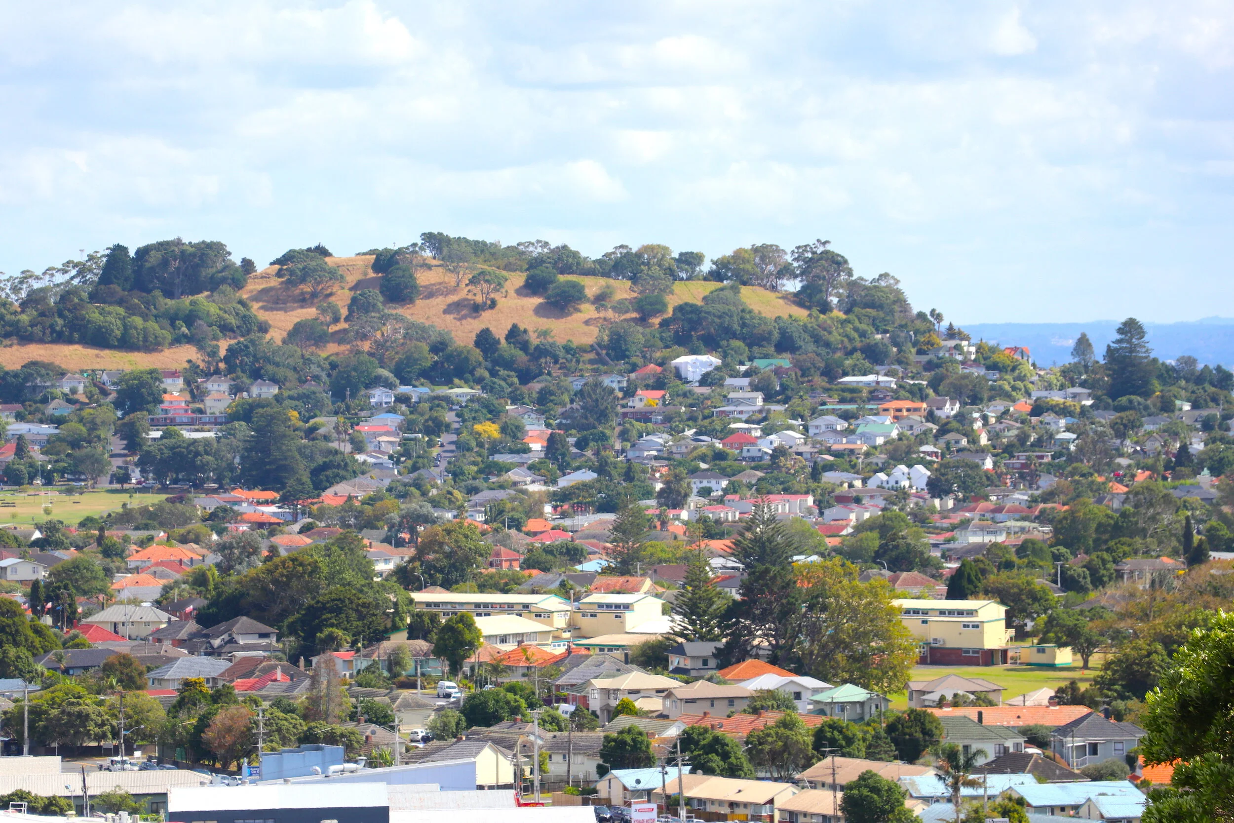 Market holding strong in record numbers despite COVID Return