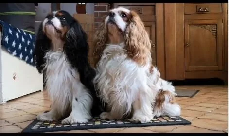 Formation de Lisa Longo chez Muzo+