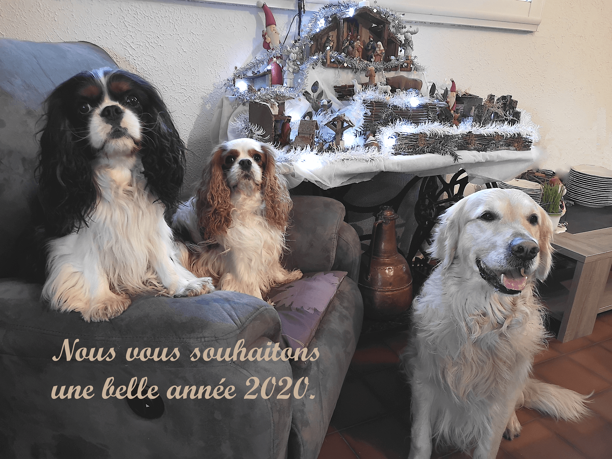 Meilleurs voeux