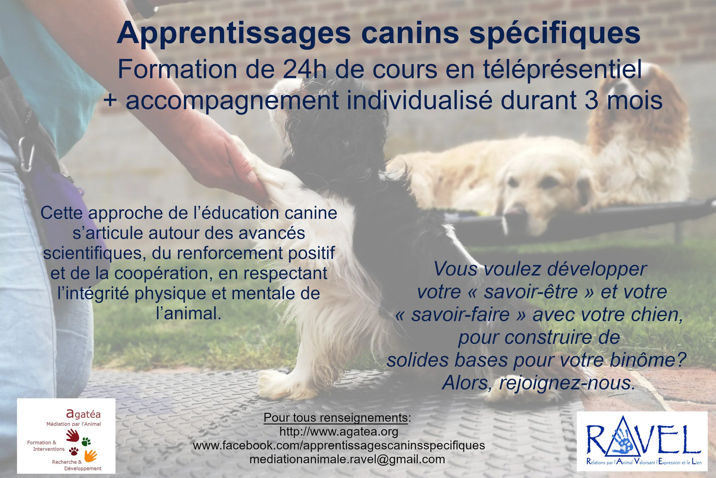 L'association RAVEL est partenaire d'une formation d'éducation canine 