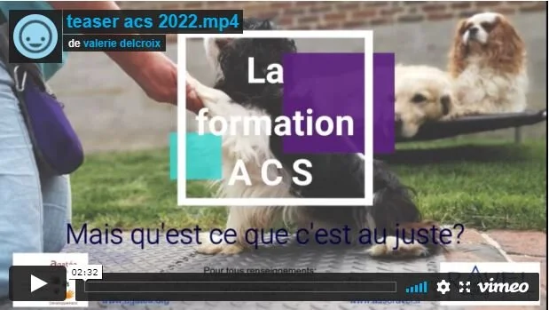 Quel est le contenu de la formation? 