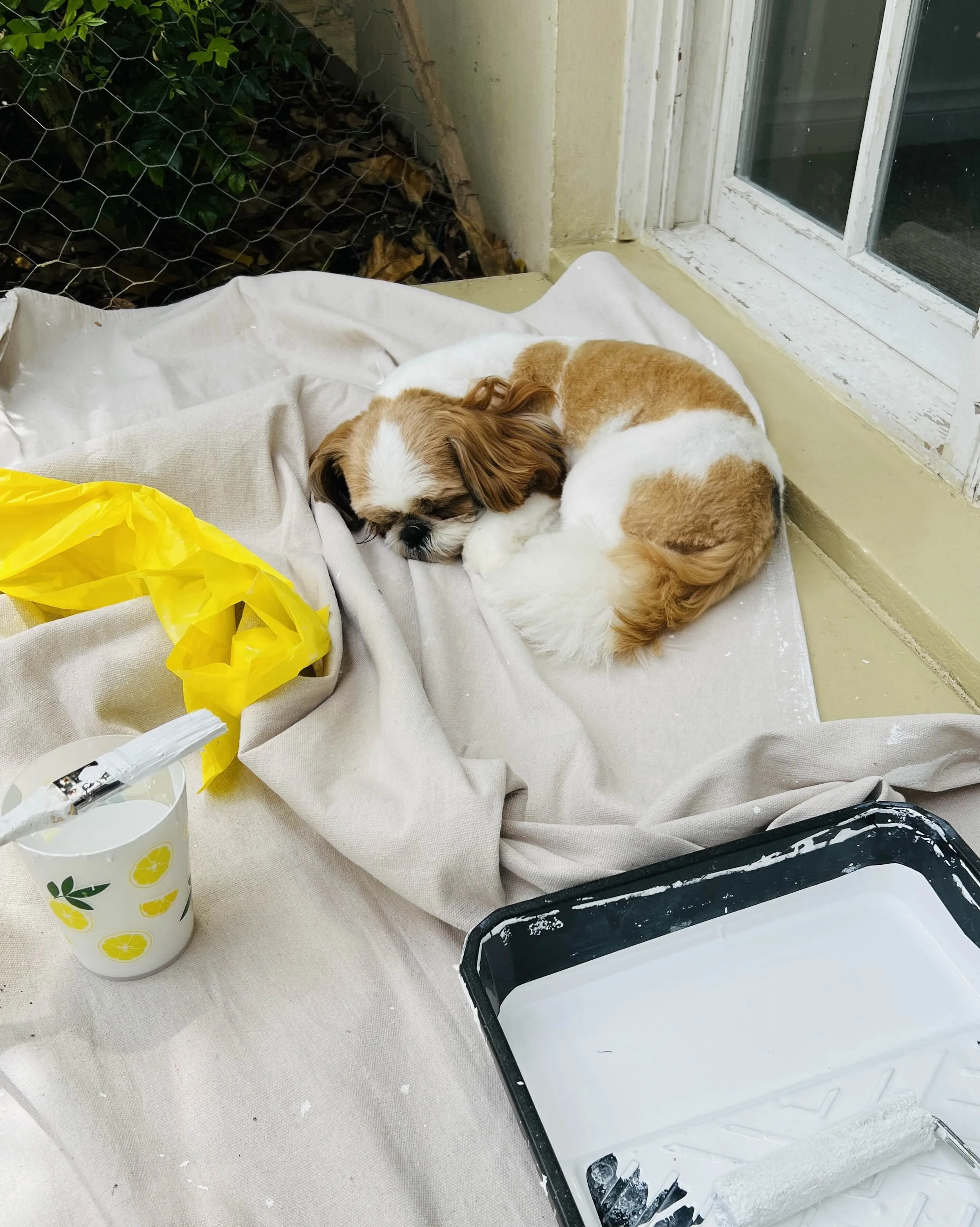 A To-Do List for This Week (not kidding!)