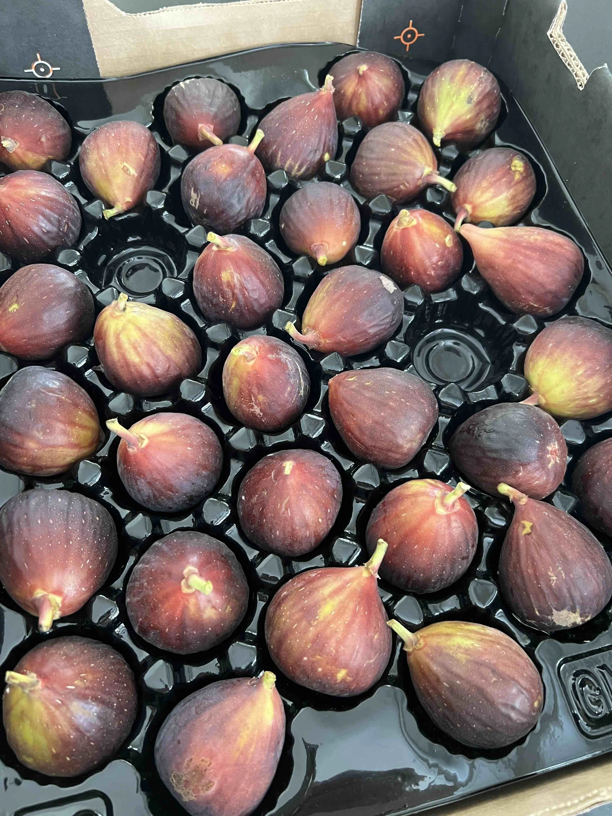 International Women's Day...and us!