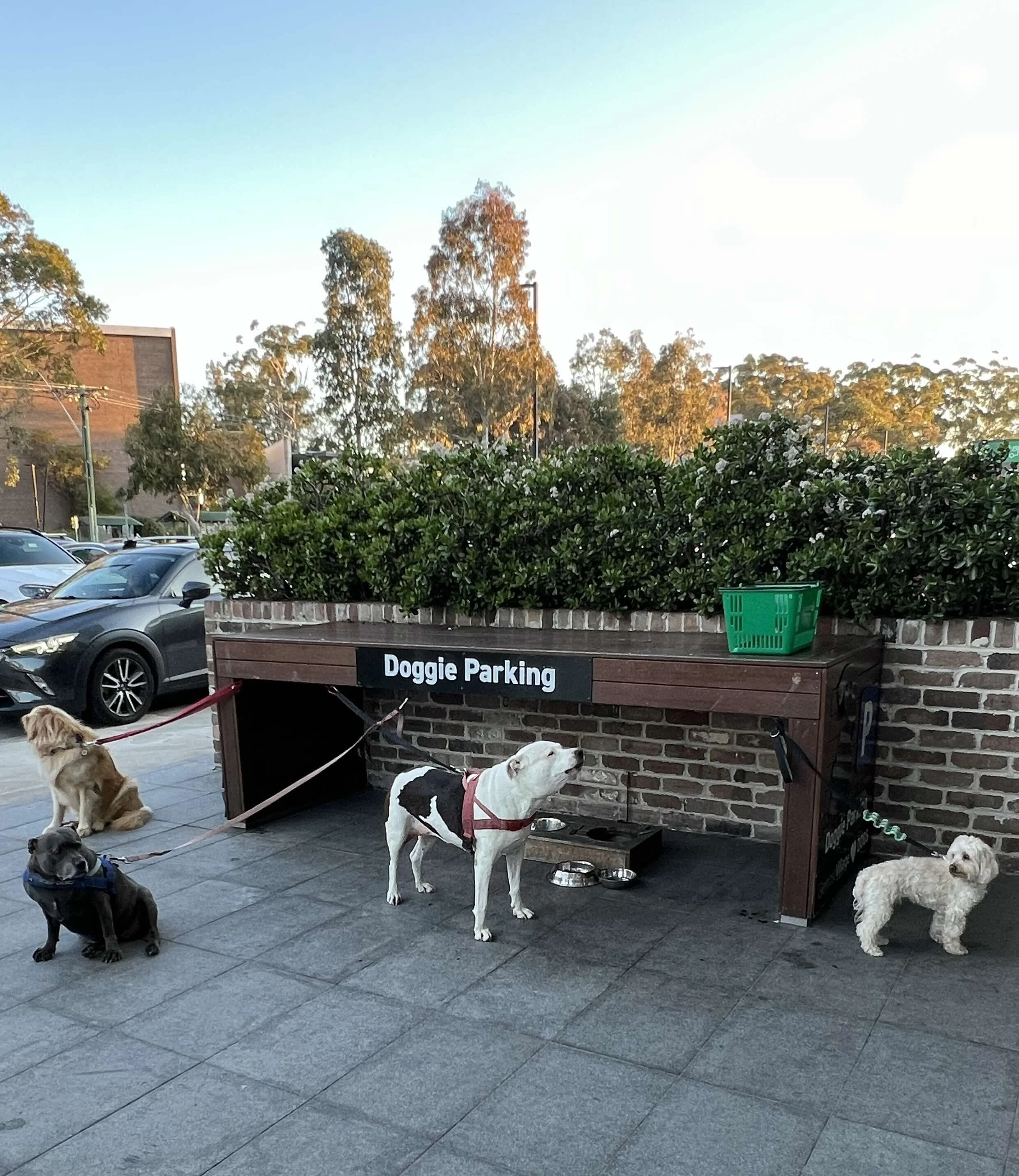 Here's What I've Been Loving Lately...