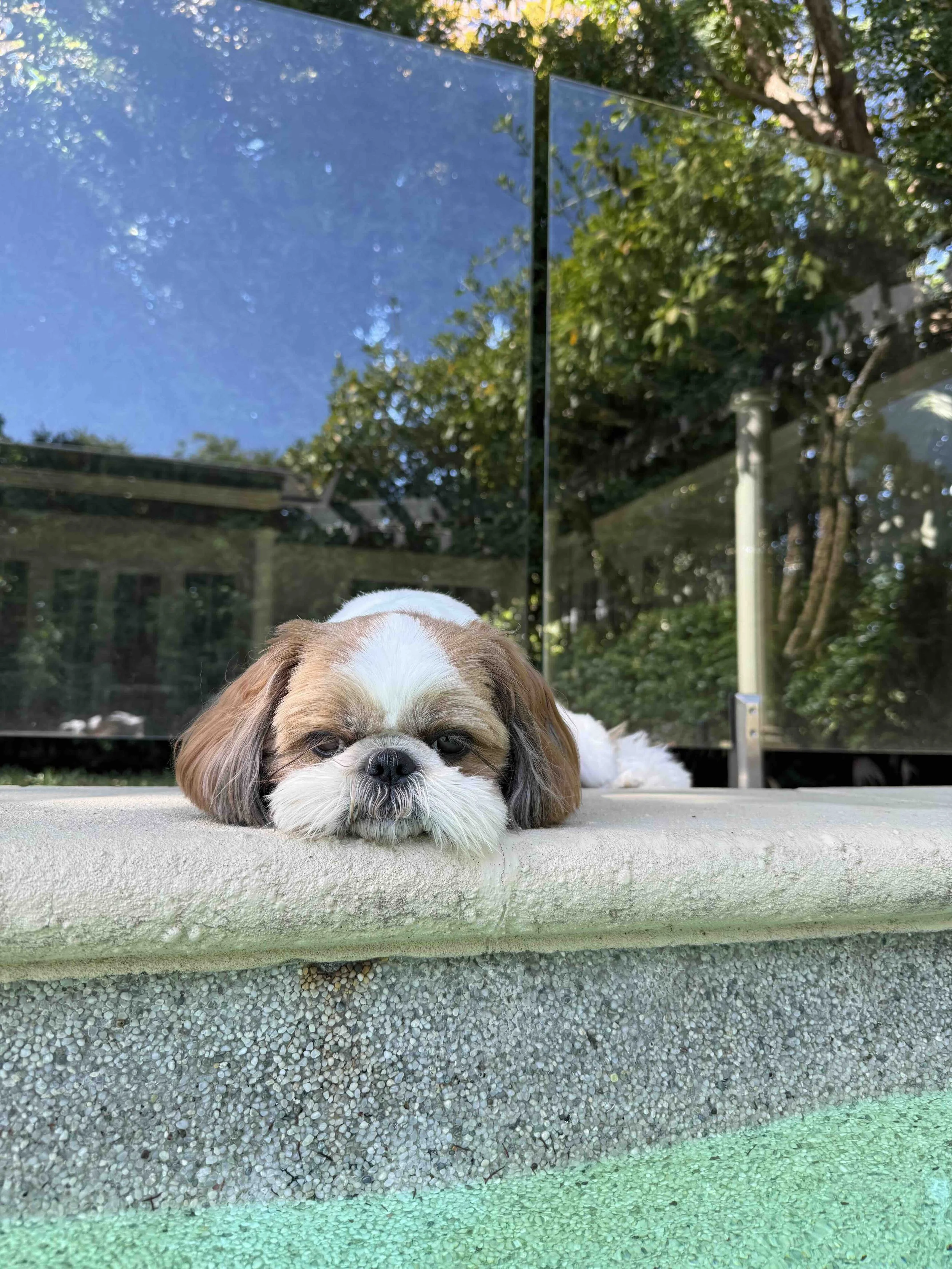 Hello, hello, hello!