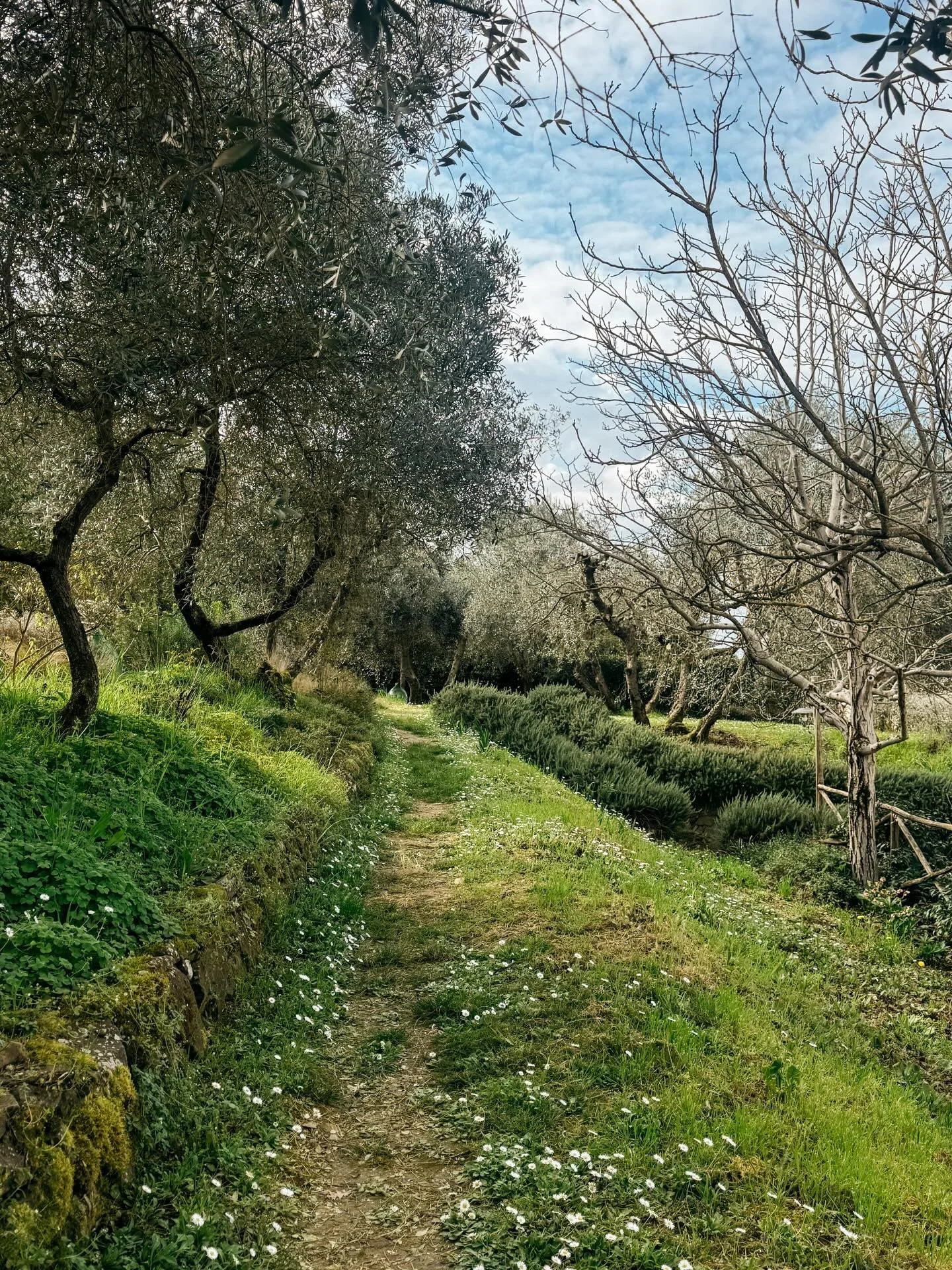 la luce morbida della Toscana e quella sensazione che qui il tempo abbia un altro ritmo anche quando va veloce , anche quando se ne fanno mille . 
Gestire un bed and breakfast e vivere in questa regione significa vedere arrivare storie da lontano mes