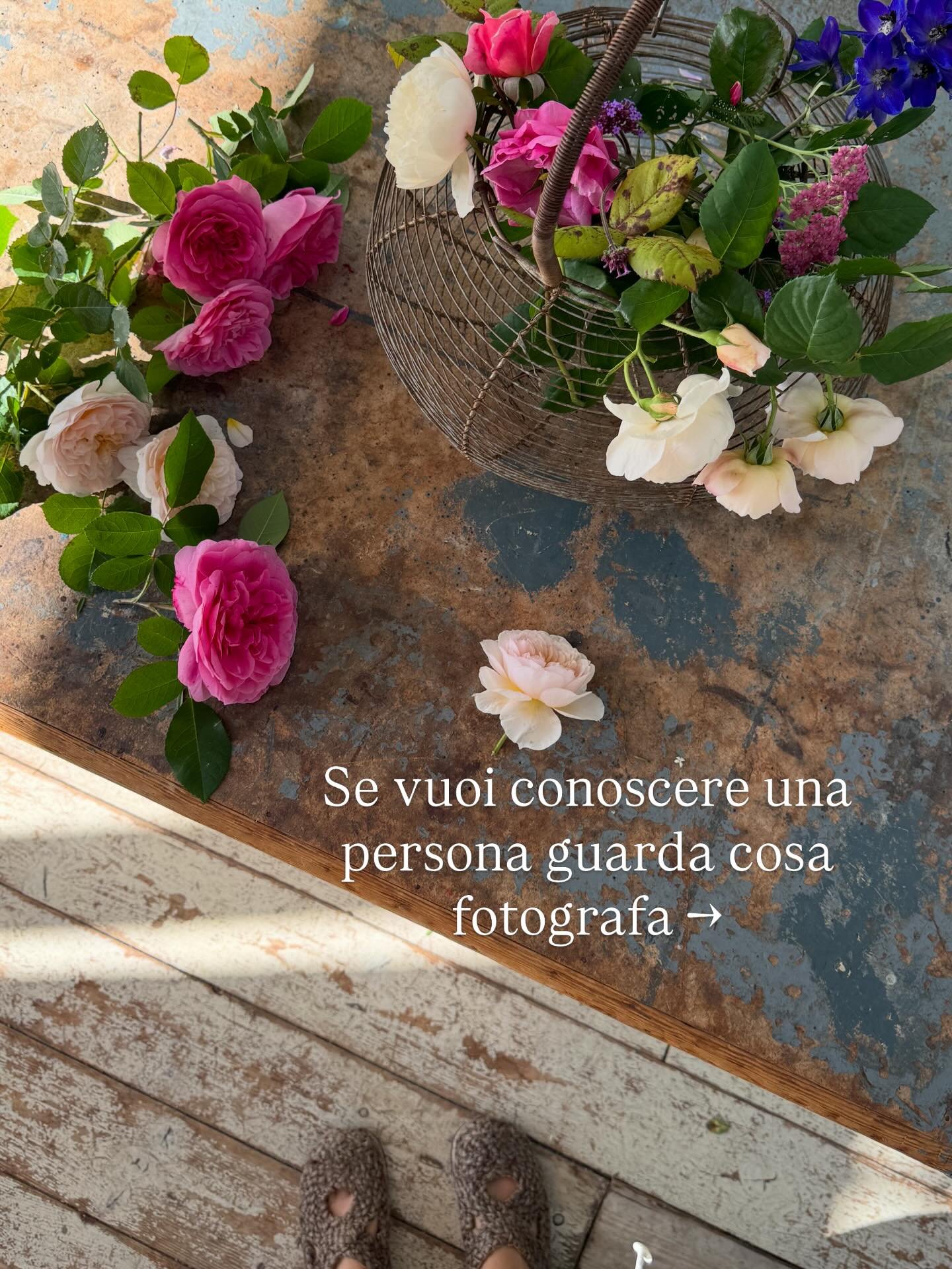 Trovare la descrizione della mia personalit&agrave; attraverso le foto della mia galleria .