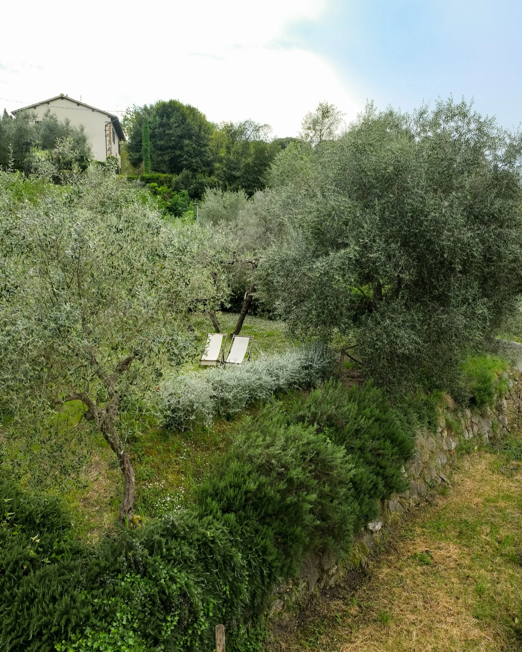 DSCF0851.png