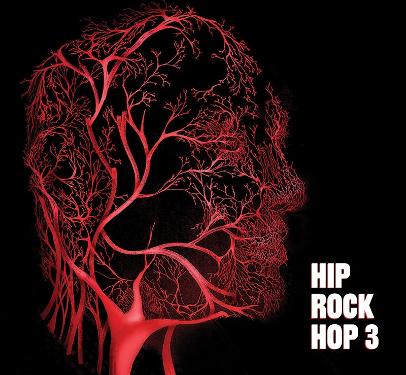 HipRockHop_3_COVER_FINAL_PRINT_WEB.jpg