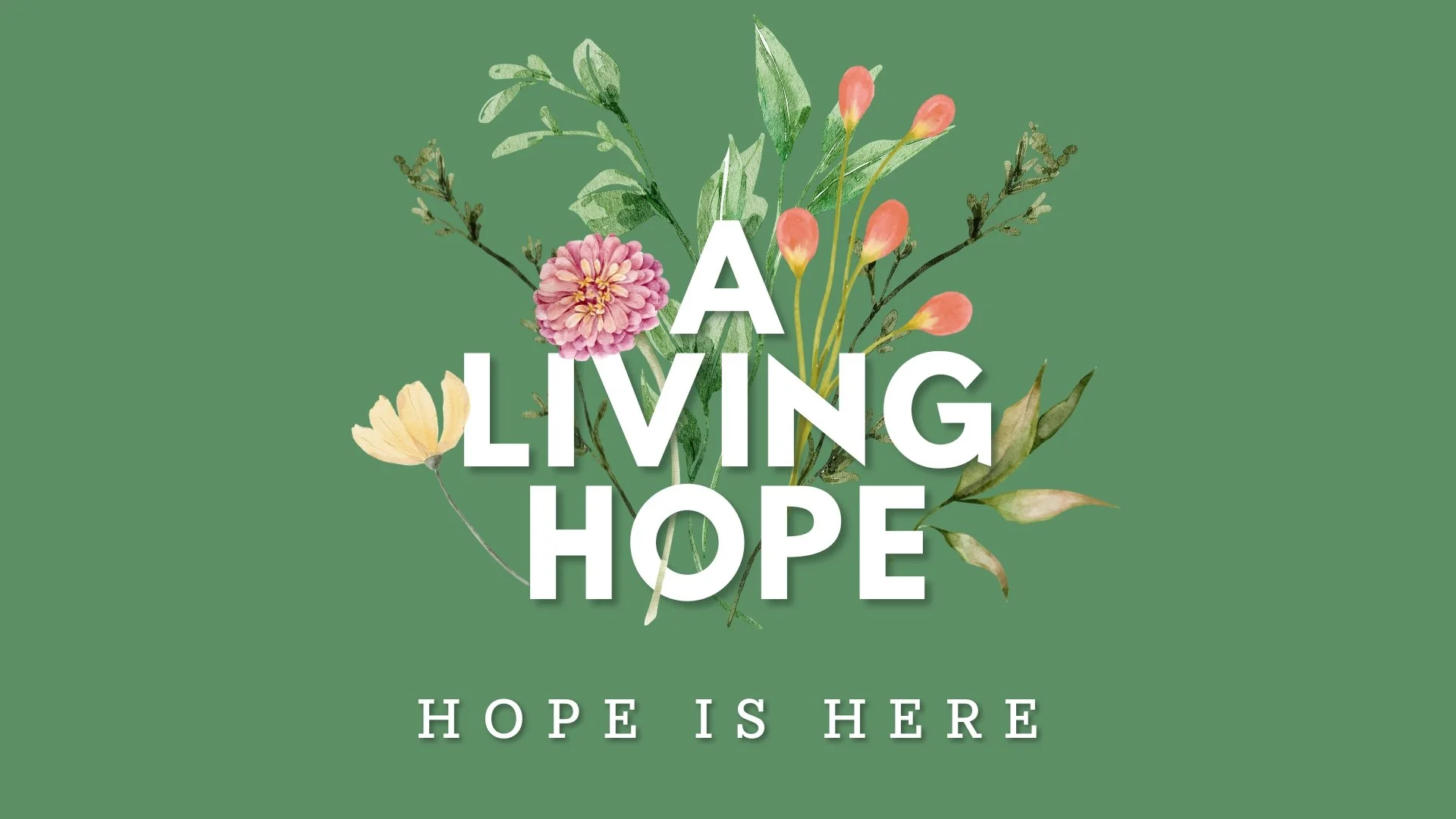 A Living Hope - Palm Sunday - "Hope Is Here"