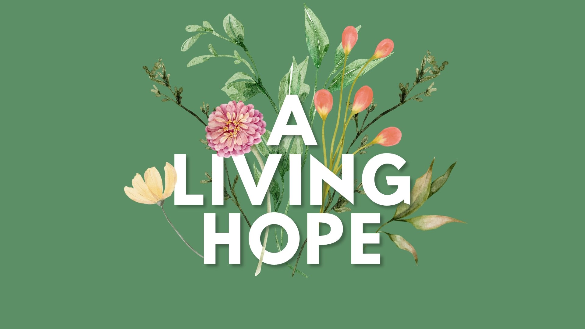 Good News Everywhere - Good Friday