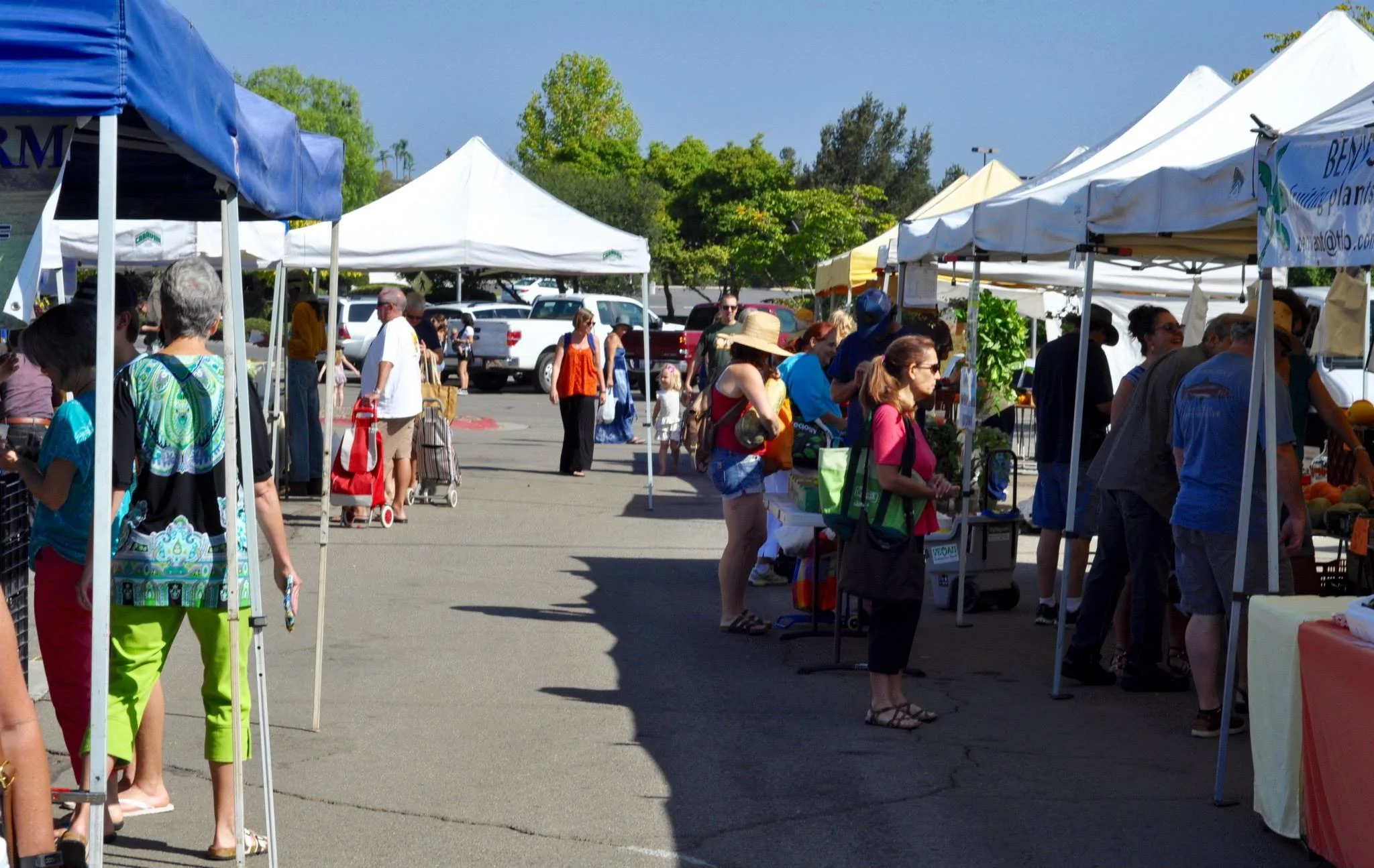farmers market.jpg