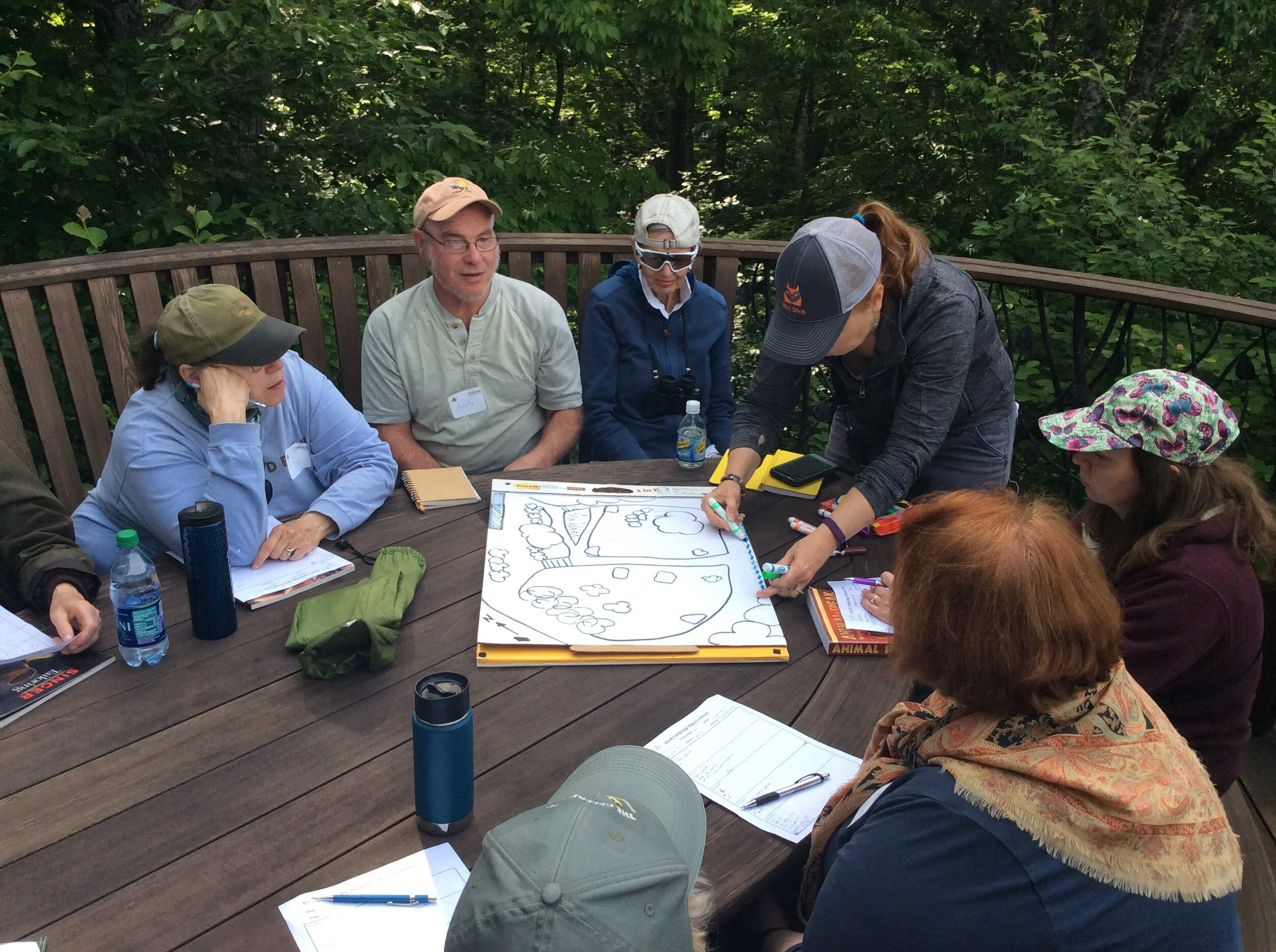 Slow Birding at Biodiversity University 
