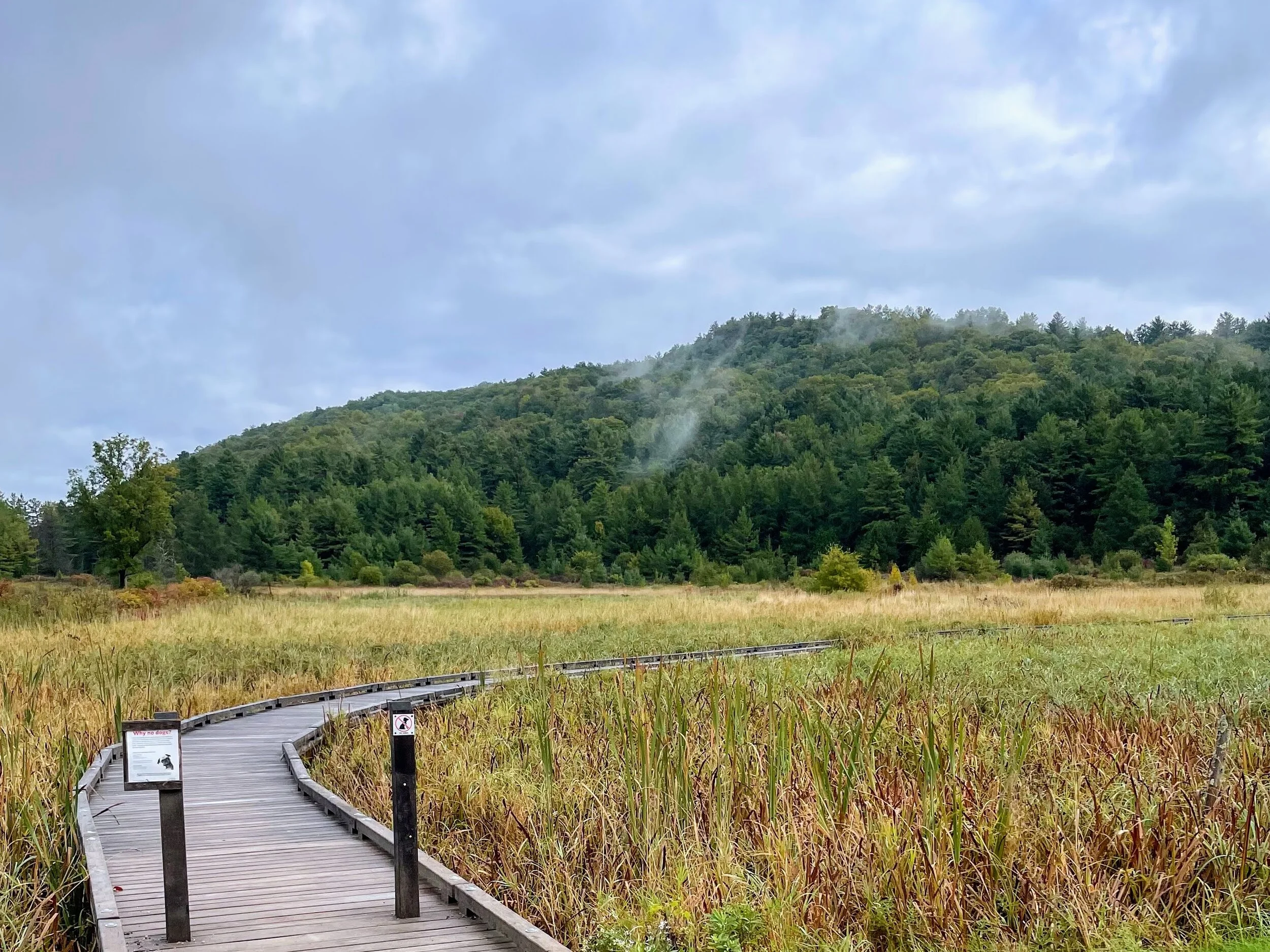 Accessible Bird Outing at Raven Ridge Natural Area