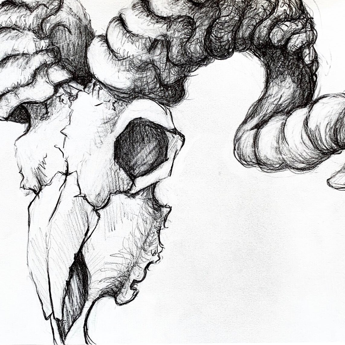Pencil on Paper 9&rdquo;x12&rdquo; www.nelle.art
