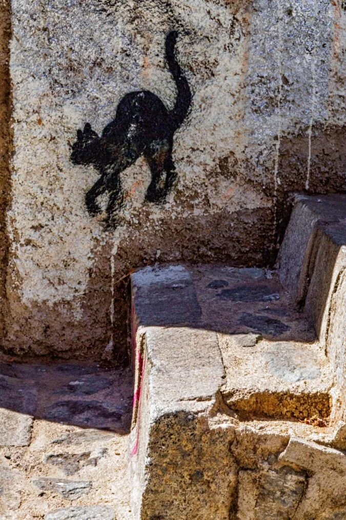 xavier_colomer_gatos_de_valparaiso_7.jpg