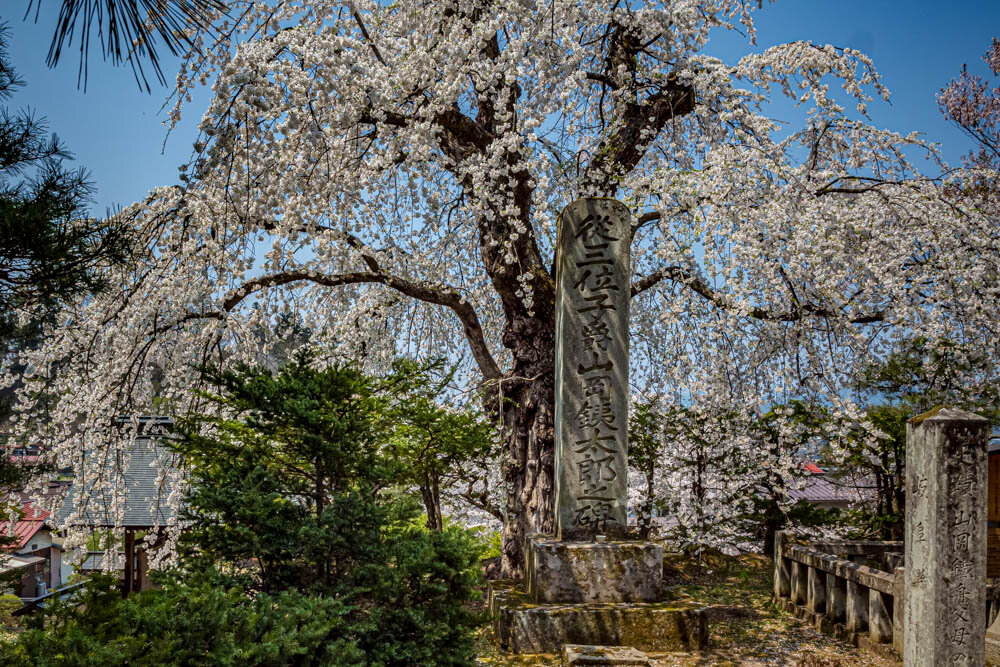 takayama