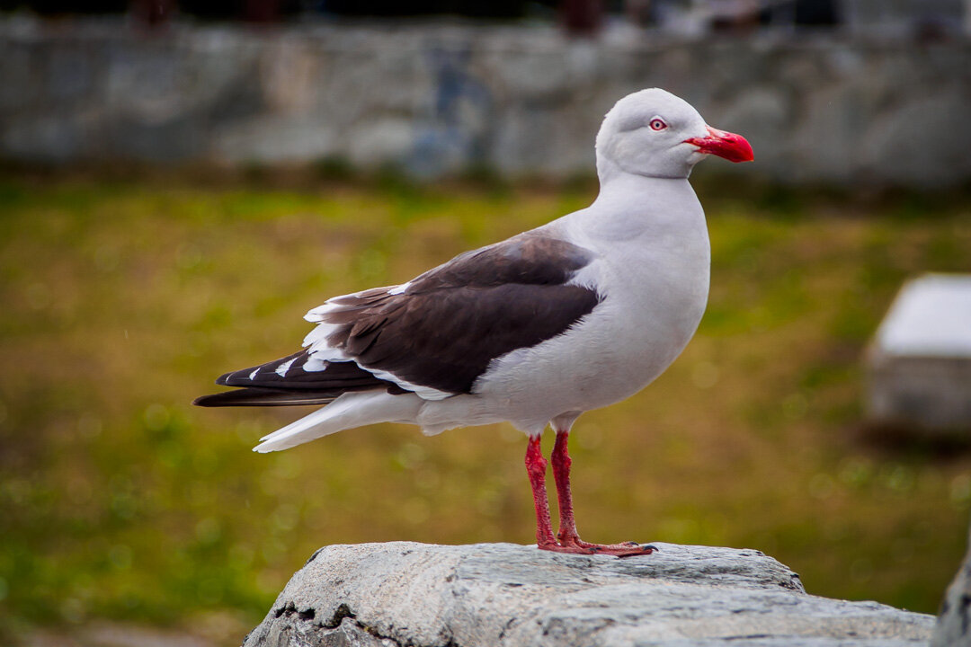 xavier_colomer_ushuaia_7.jpg