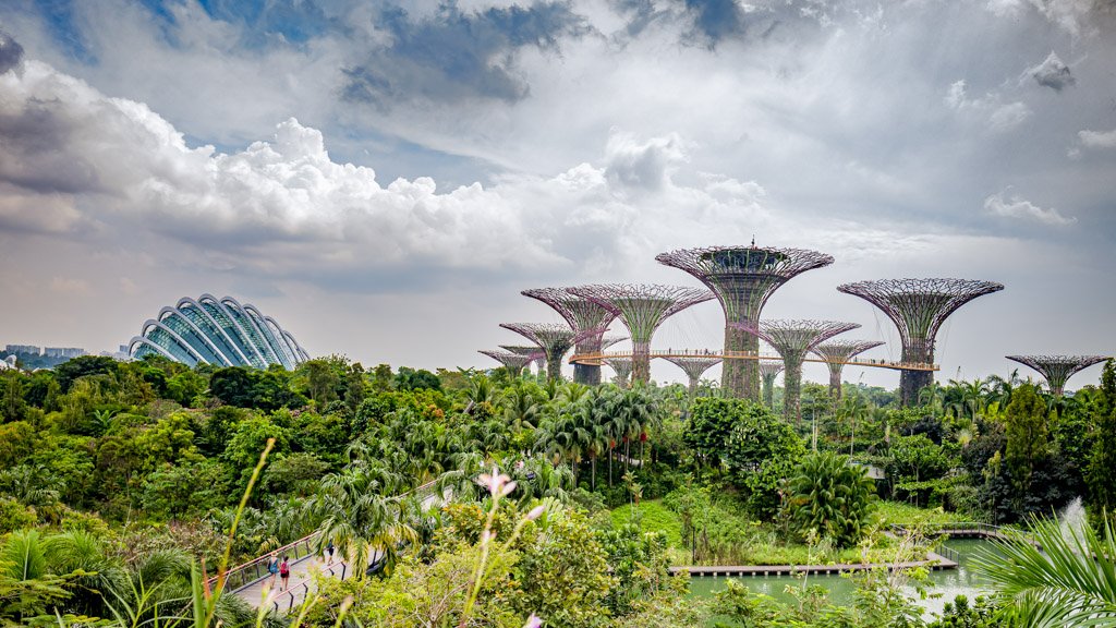 singapour xavier colomer-2025-17.jpg