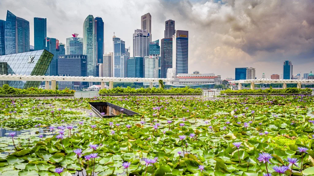 singapour xavier colomer-2025-19.jpg