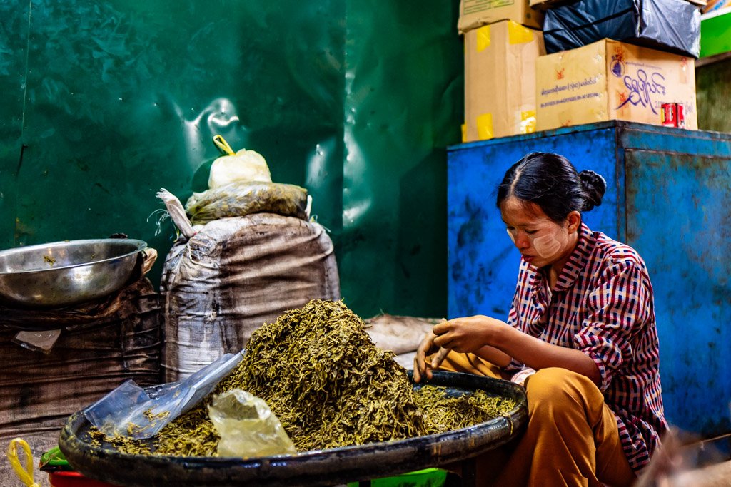 myanmar- xavier colomer-2025-26.jpg