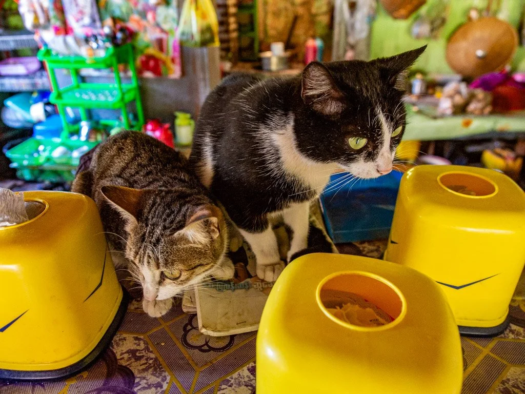 myanmar- xavier colomer-2025-60.jpg