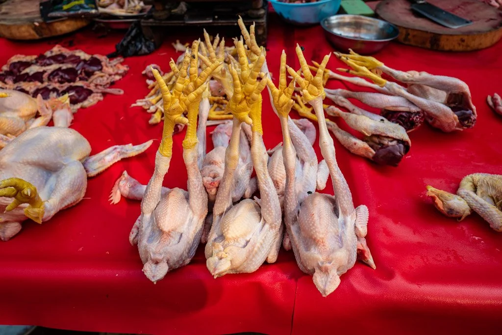 myanmar- xavier colomer-2025-73.jpg