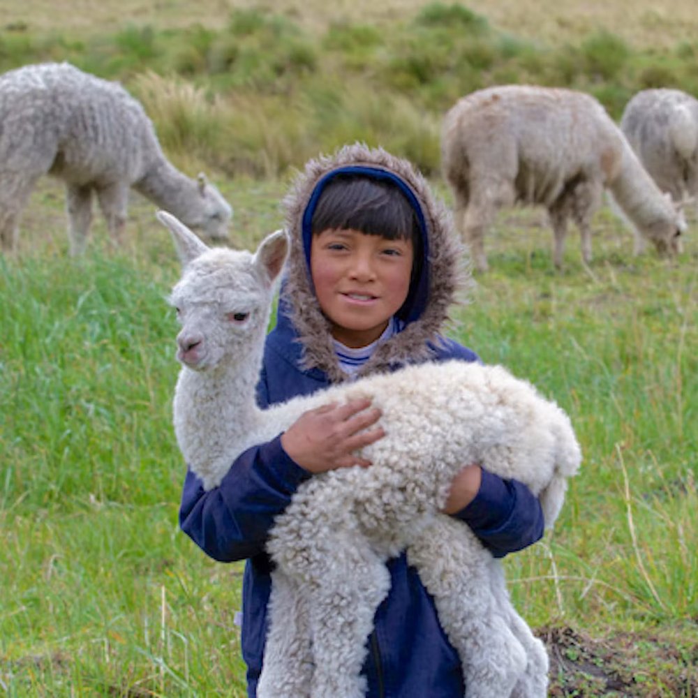 kid_and_alpaca.jpg