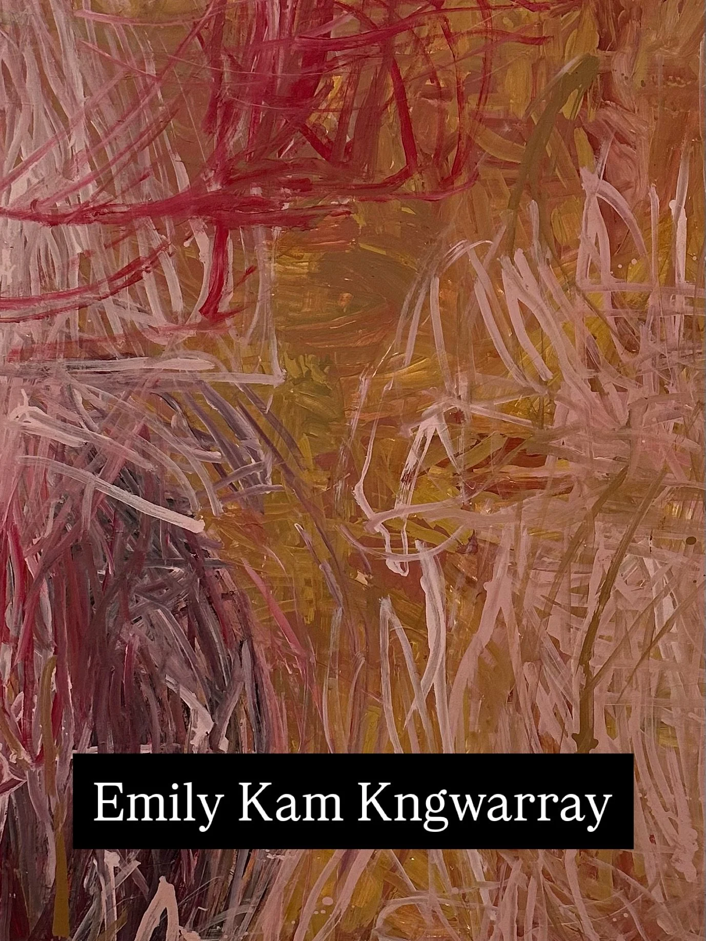 Emily Kam Kngwarray is an Aboriginal artist from the Anmatyerr people of Alhalker in Northern Australia, often called Utopia. The land is vast, dry, largely unpopulated, with reds, browns, greens and yellows woven through the soil and flora. She star