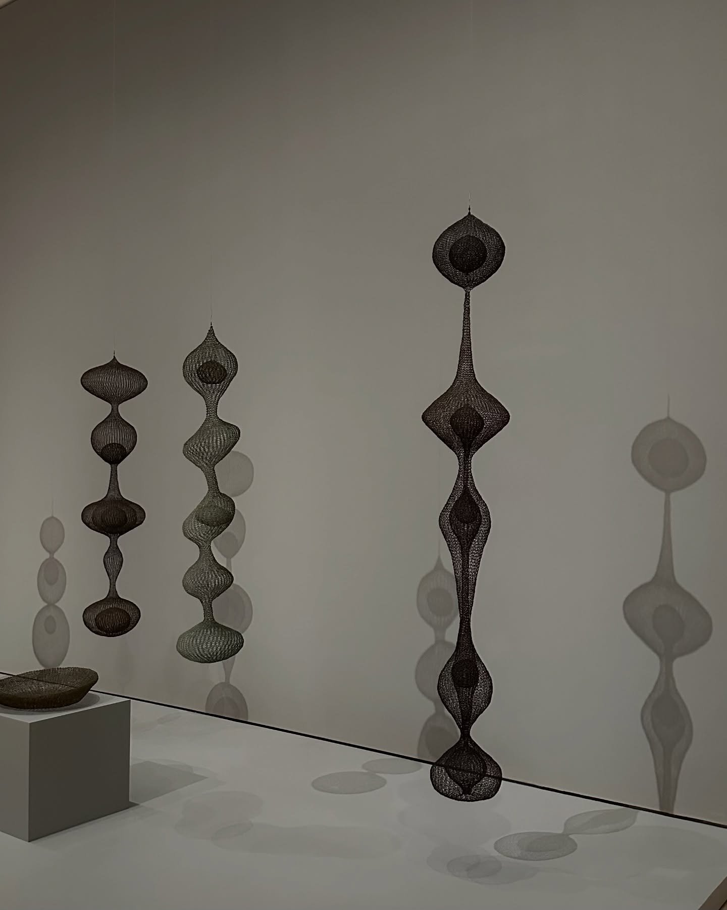 Some things I think about when I think about Ruth Asawa's work...

Paradox: life feels like one paradox after another, or in the case of Asawa, nested paradoxes. She took thin, stiff, inanimate wire and transformed it into curved soft delicate shapes