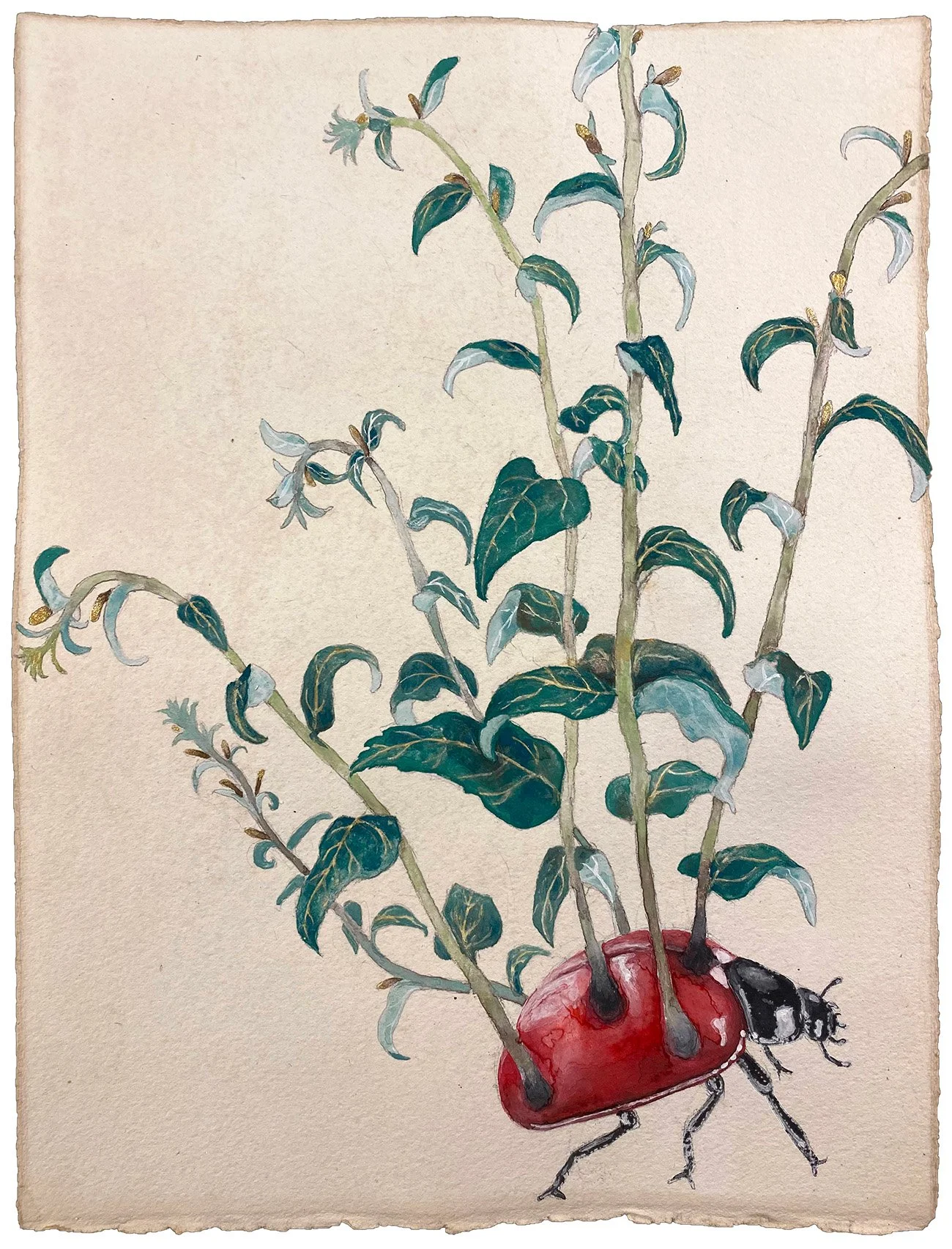 Yuko Oda: Decaying into Bloom at the Groton School