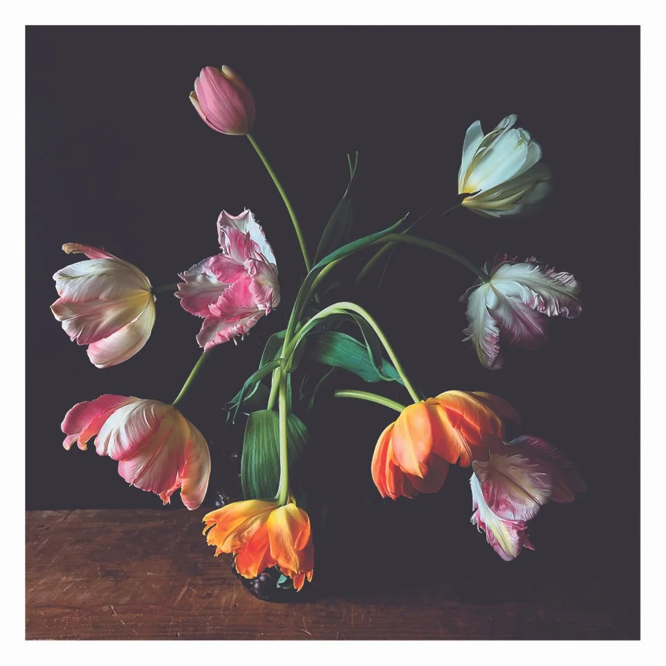 Still Life with Mixed Tulips 13x13.jpeg