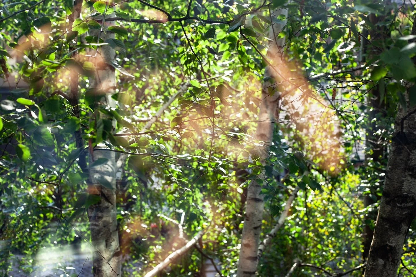 @sdinnick was introduced to me by a friend when I was re-imagining Misstropolis as a multi-phase platform for championing women artists. We worked together on a piece called "Connection / Refraction: The Reassuringly Complex Photography of Sarah