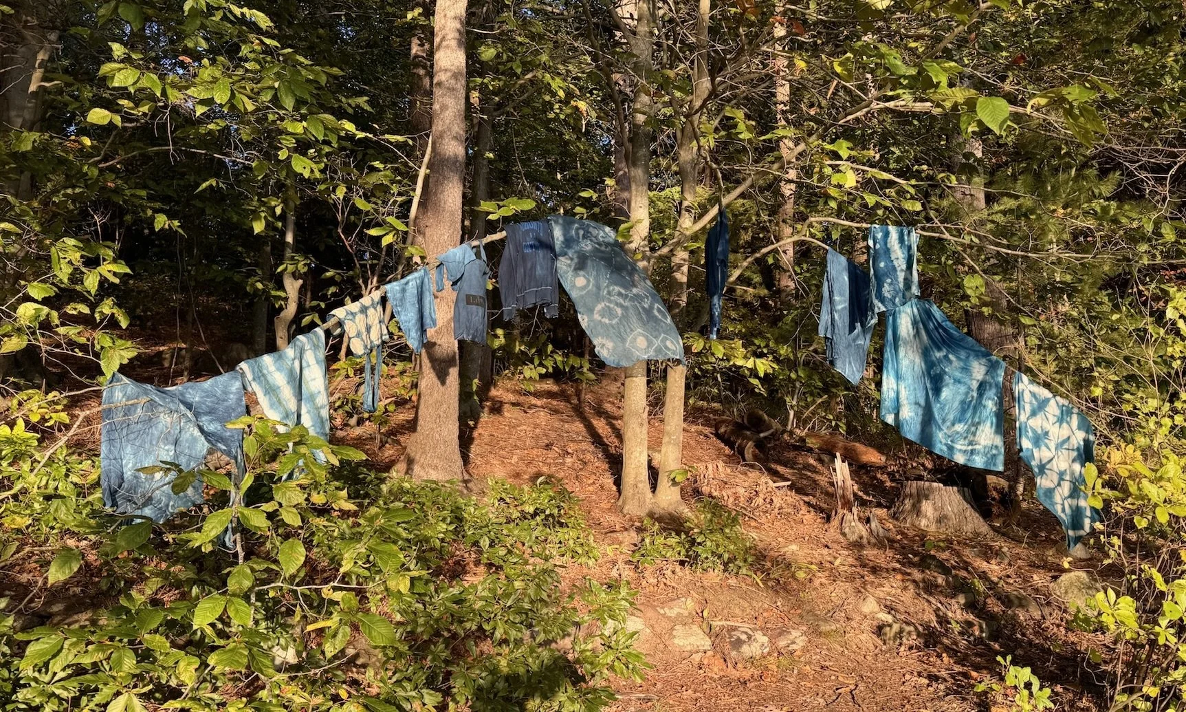 Can Craft Camp Heal Your Soul? 