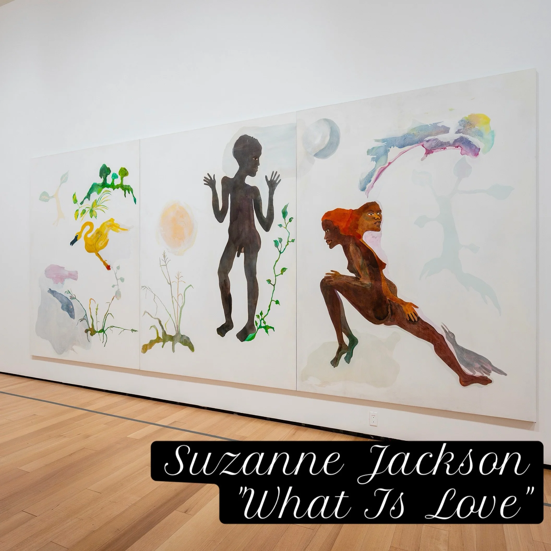 I love meeting my artist heroes. I first saw Suzanne Jackson's work at the 2024 Whitney Biennial. Her translucent, theatrical "environmental abstractions" felt like a rarity - something I'd never seen before in a museum or gallery. I knew I