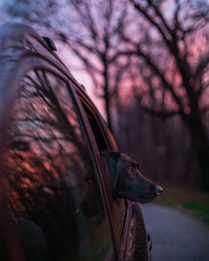 Allie in Car Insta Format.jpg