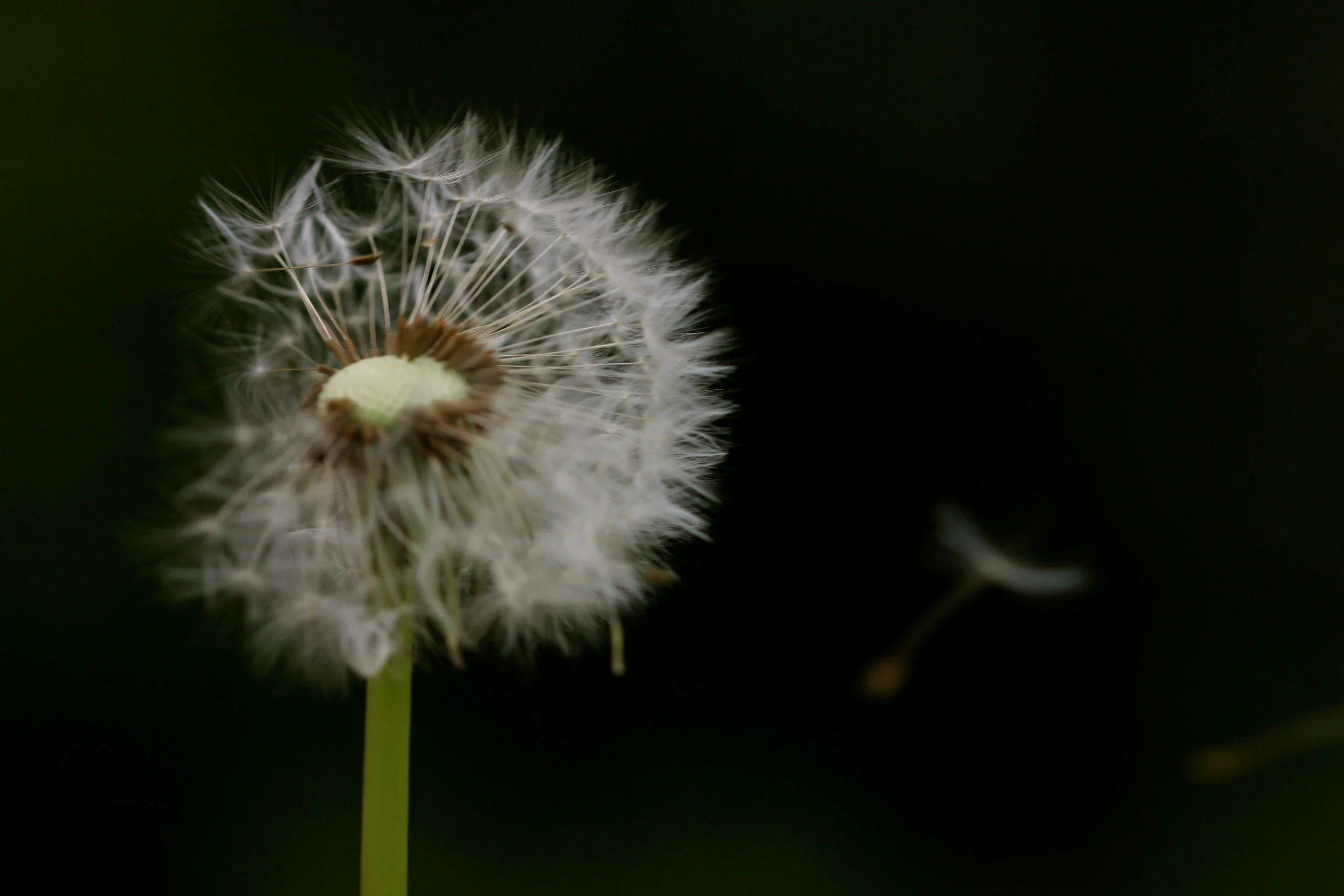 unsplash-image-jRVweo-NE1g.jpg