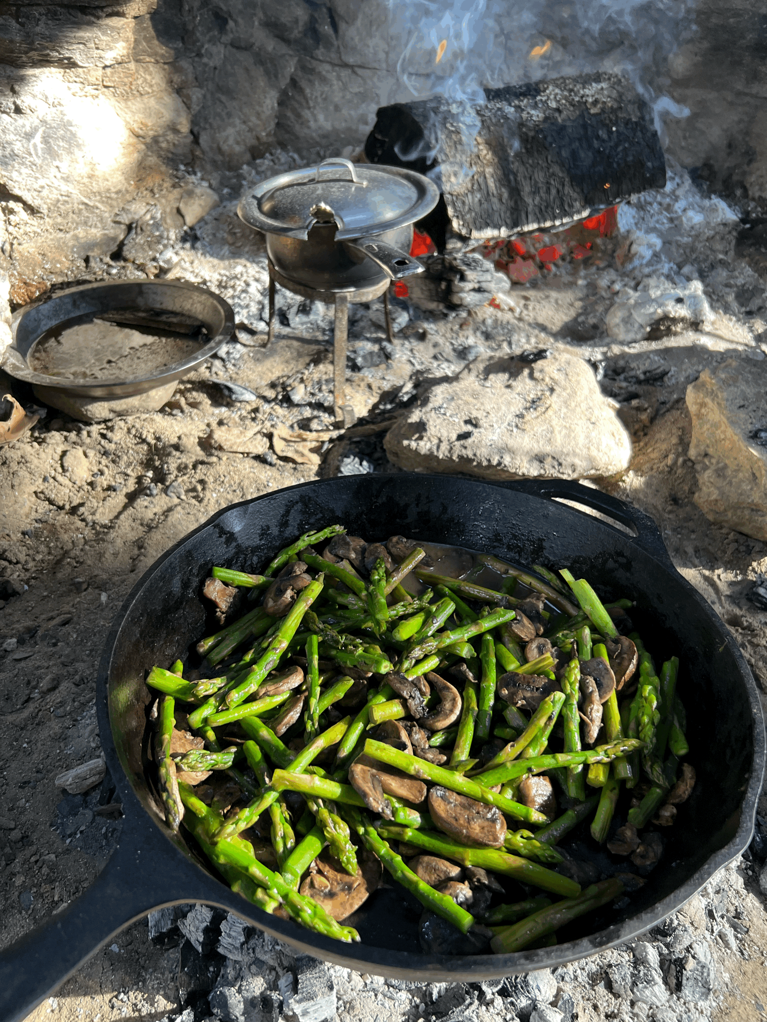 Cooking Over Fire & Flame