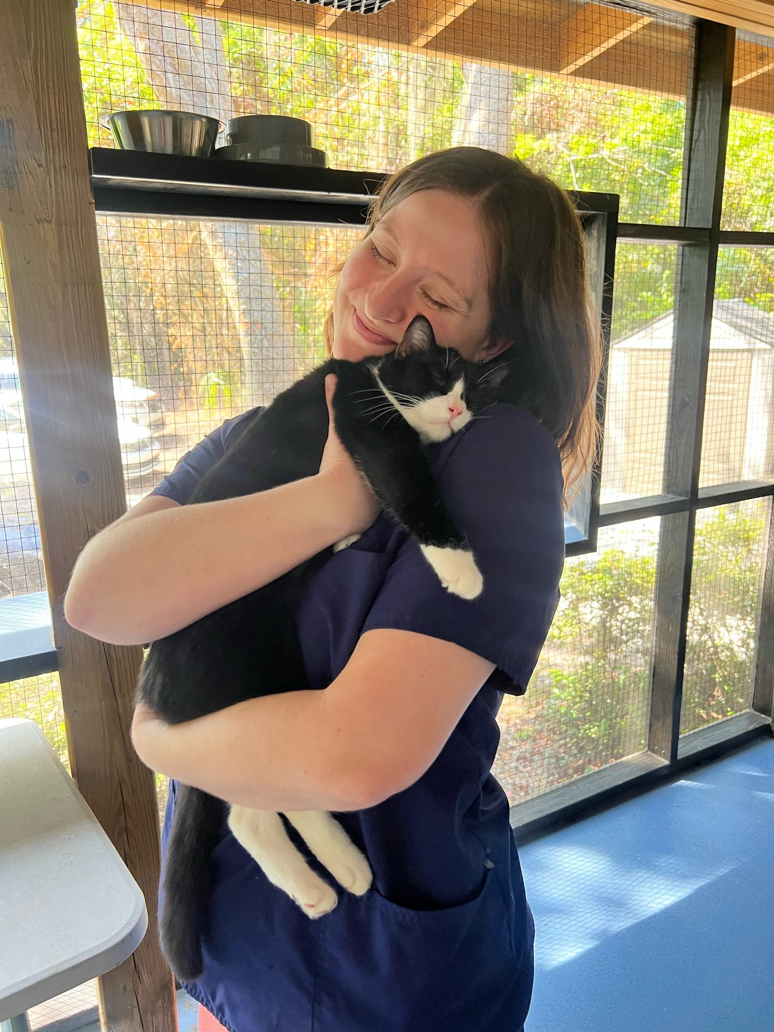 Cuddling Working Cat "Cow"  at the Catio