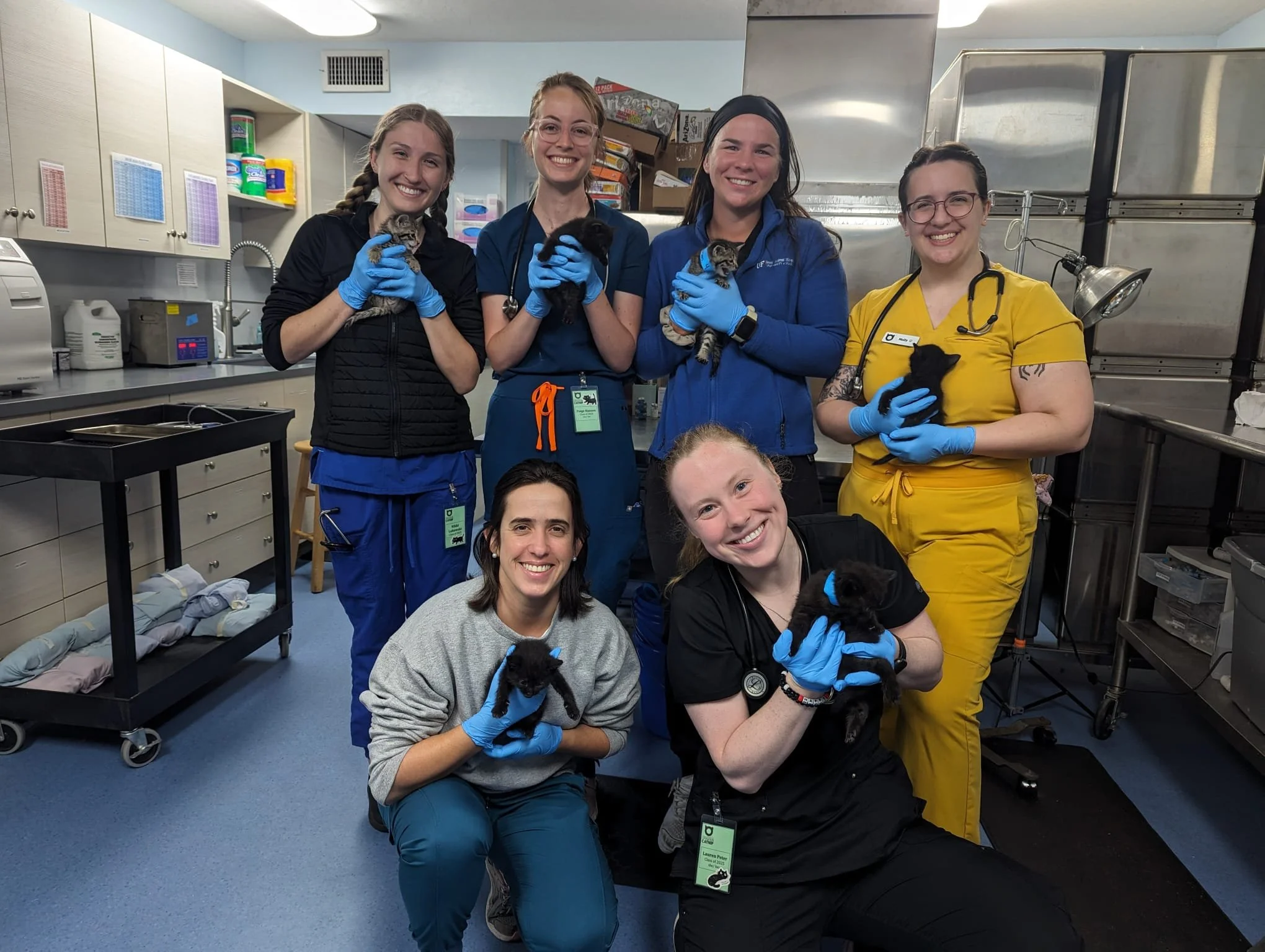 Veterinary Students Assisting with Kitten Wellness Day