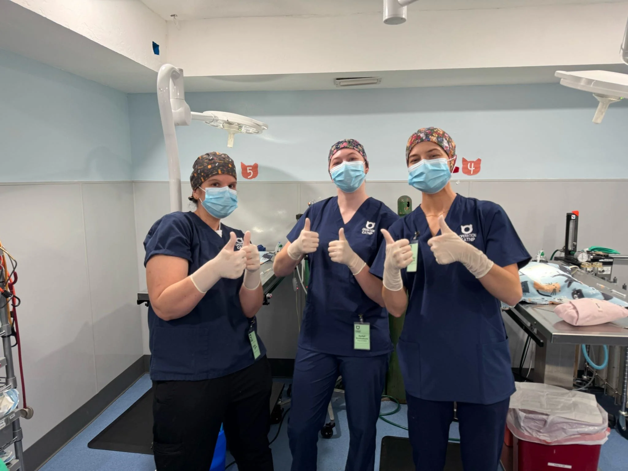CCMC Students on Their Spay-Neuter Clinic Day