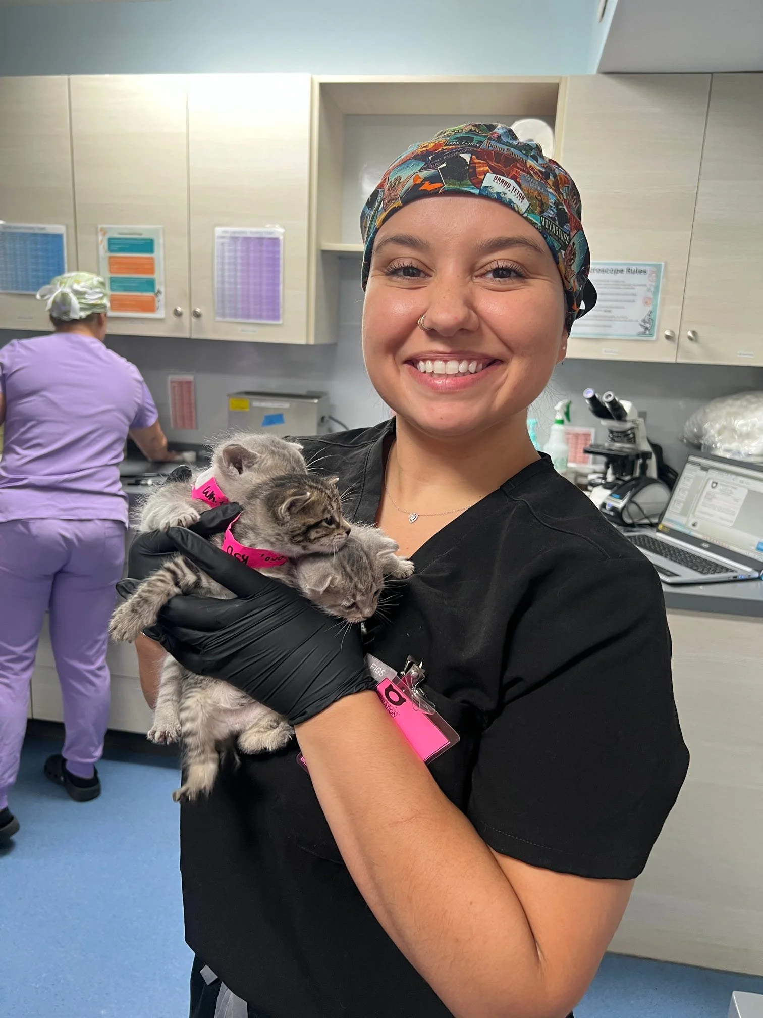 An Extern holding a litter of 4week old kittens